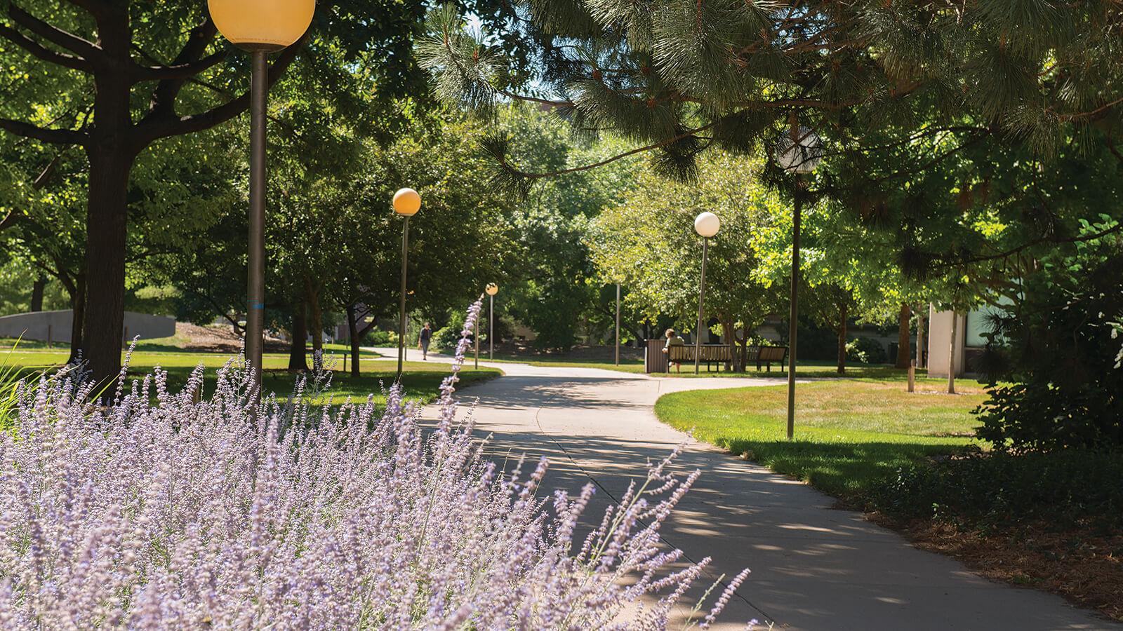 Campus walkway