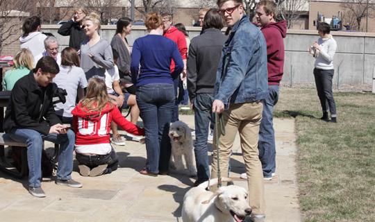 Students and dogs